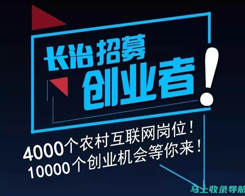 站长的创业经历与成功案例解析